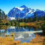 mountains, pond, and trees