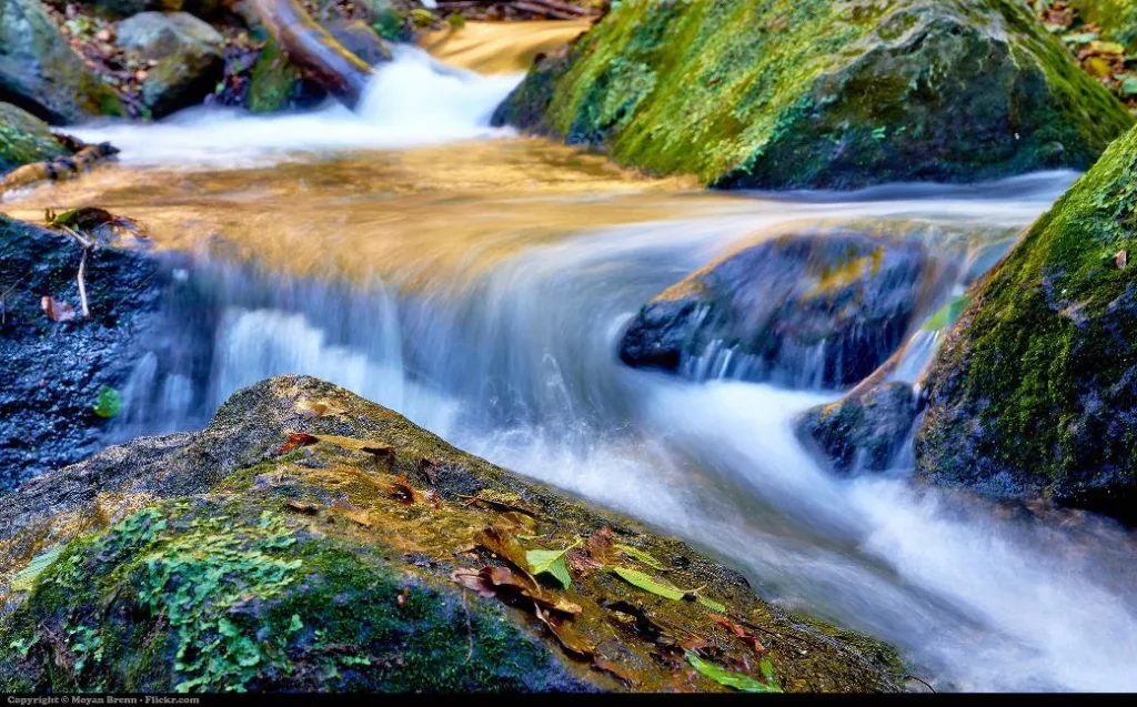 soothing environment with stream