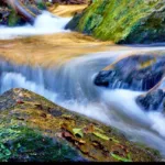 soothing environment with stream