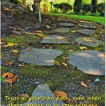 trust in your own path--stone path through garden