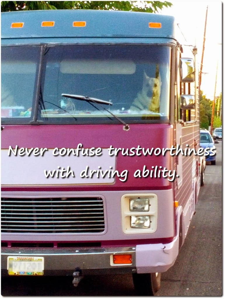 humorous dog photo about trust and driving ability