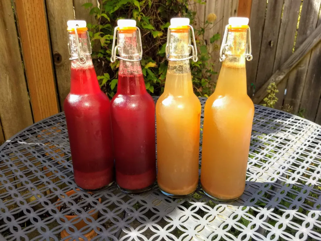 homemade pomegranate and pear kombucha, bottled