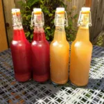 homemade pomegranate and pear kombucha, bottled